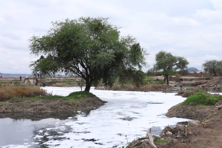 DAÑO. Sofía Enciso aseguró que al Santiago se le ha “quitado su ancho para generar invasiones como lo han sido la siembra de casas sobre los humedales”. (Fotos: Michelle Velázquez)